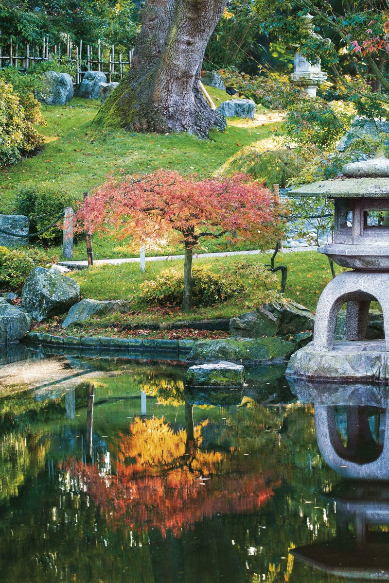 Japanese Kyoto gardens